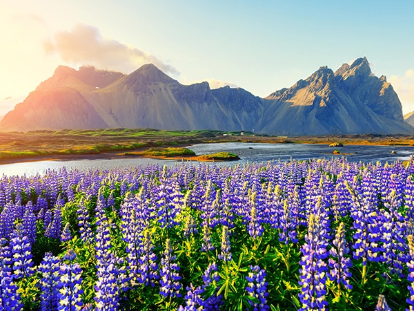 istock-900298649-1