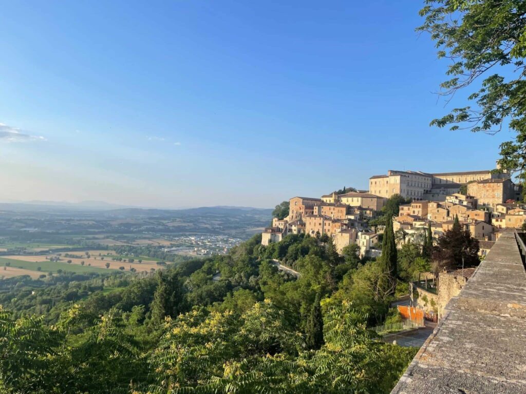 todi-3-1-scaled-min-scaled